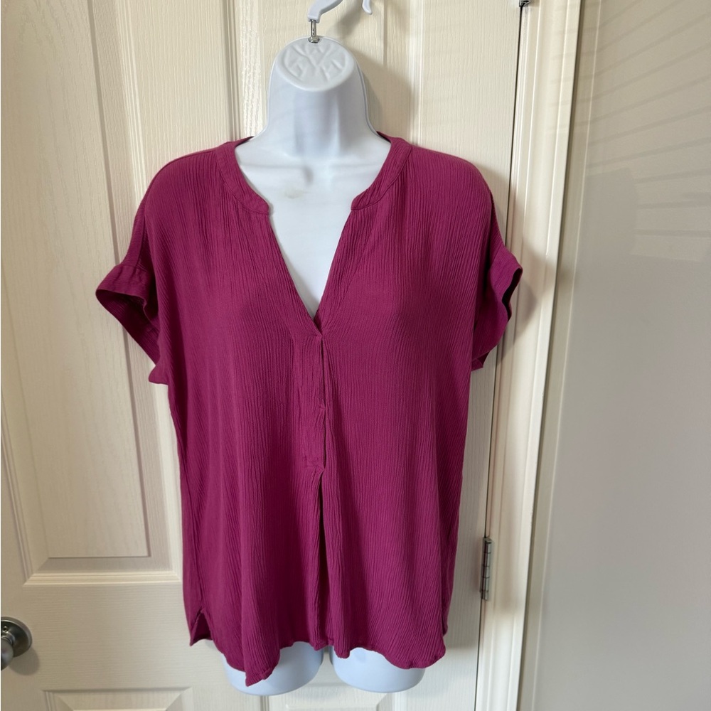 Vince Camuto Berry V-Neck Blouse